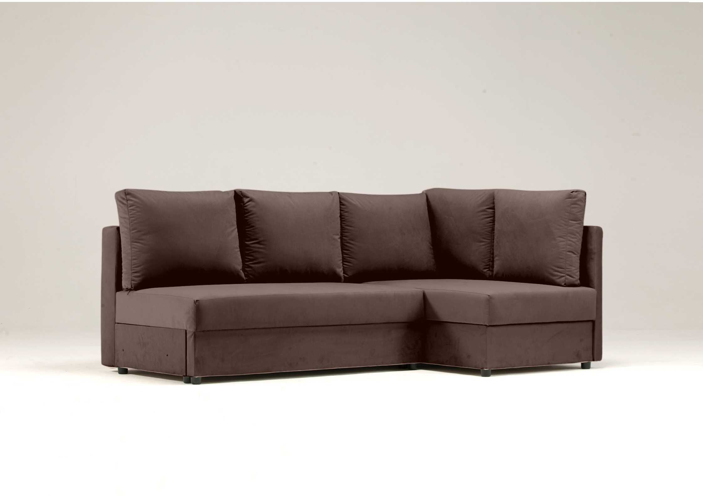 Klasyczna rogówka BRĄZOWA